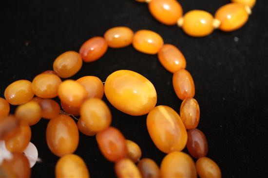 A single strand graduated amber bead necklace, 28in.